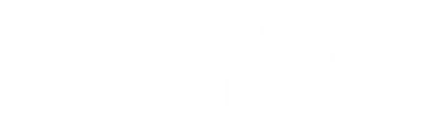 Logo společnosti Gyeon Quartz
